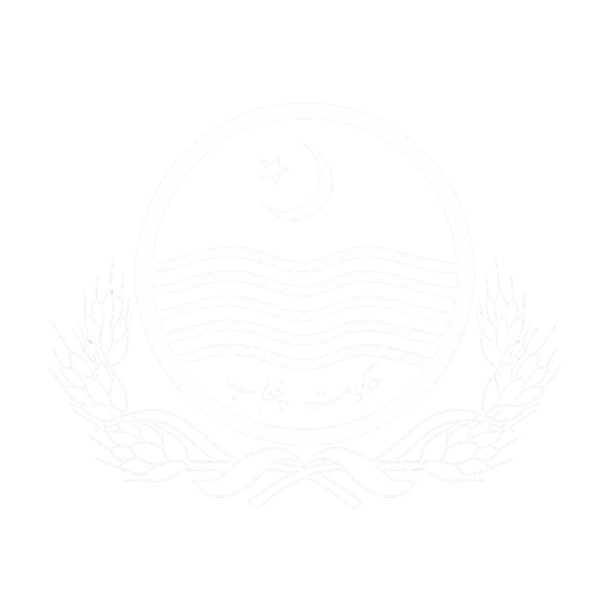 DPI Colleges Logo
